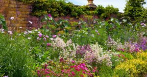 Top 7 Easiest Flowers to Grow